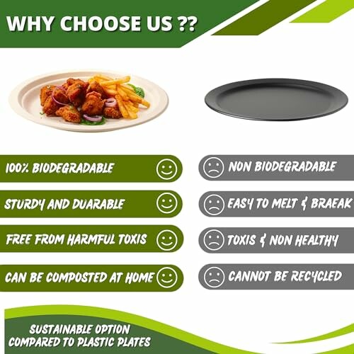 Comparison of biodegradable and non-biodegradable plates highlighting eco-friendly benefits.