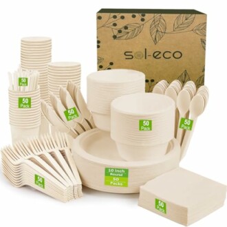 Eco-friendly disposable dinnerware set with plates, bowls, cups, and utensils.