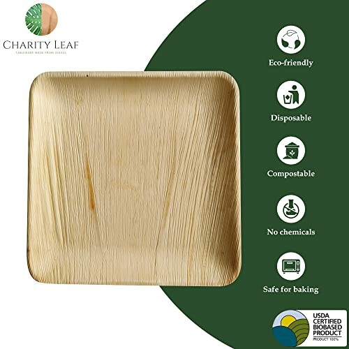 Eco-friendly disposable plate featuring compostable and chemical-free benefits.