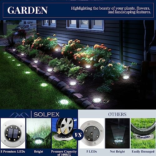 Garden with illuminated solar lights, highlighting plant features.